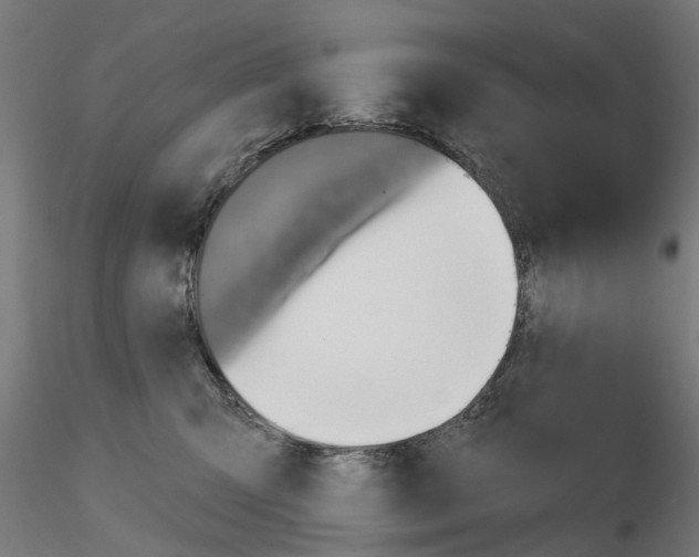 X0000115200423200912091139