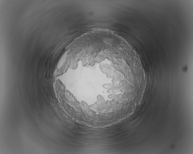 X0000115200424200912091139