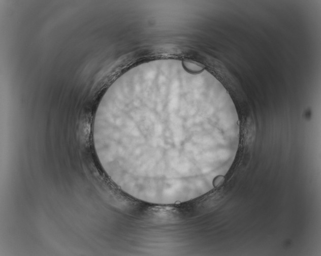 X0000115200427200912091139