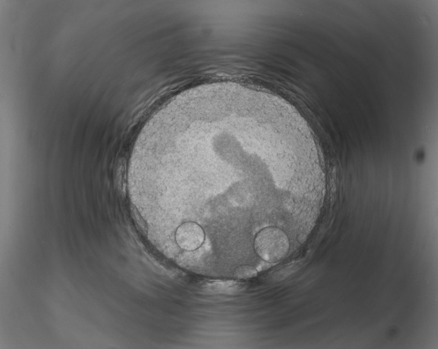 X0000115200428200912091139