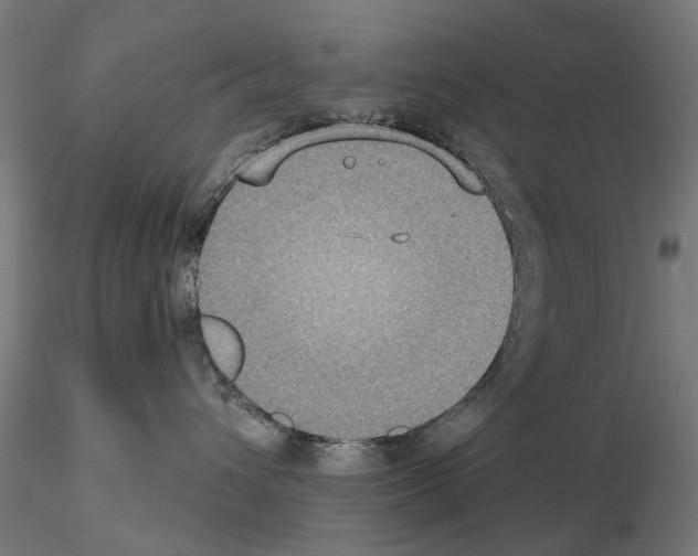 X0000115200432200912091139