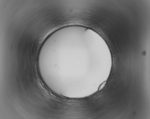 X0000115200434200912091138