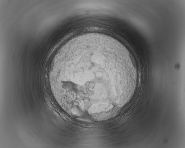 X0000115200435200912091138