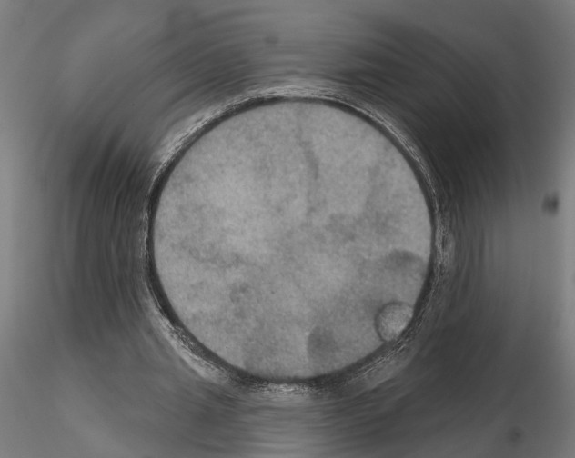 X0000115200437200912091138