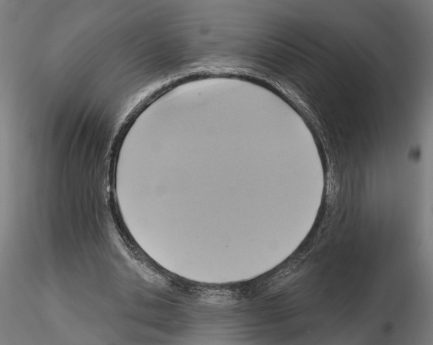 X0000115200438200912091138