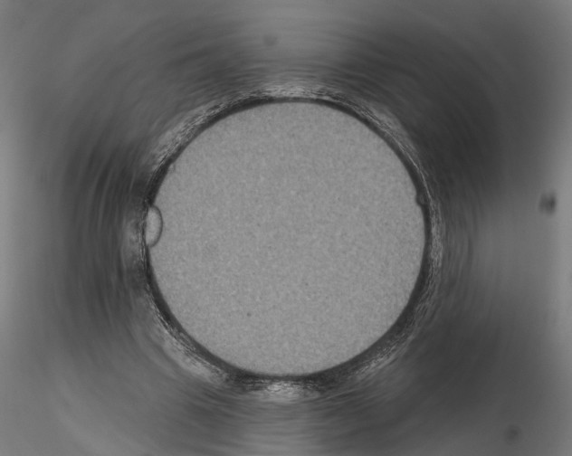 X0000115200441200912091138