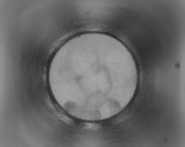 X0000115200442200912091138