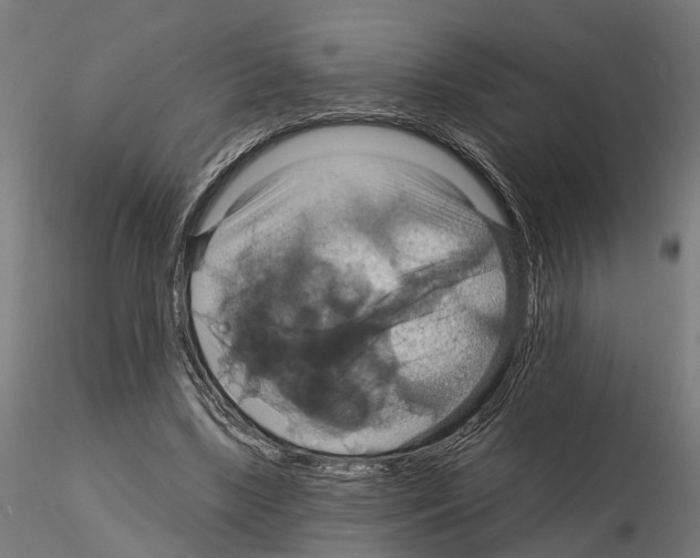 X0000115200443200912091138