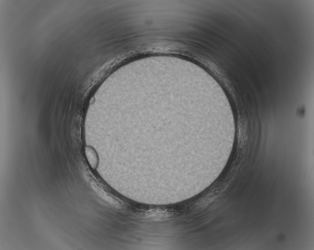 X0000115200445200912091138