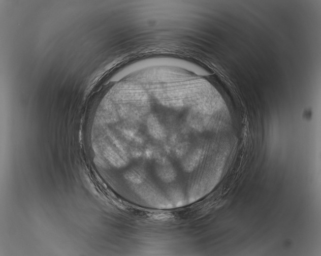 X0000115200446200912091138