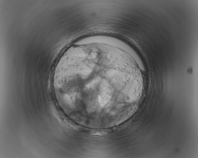 X0000115200447200912091138