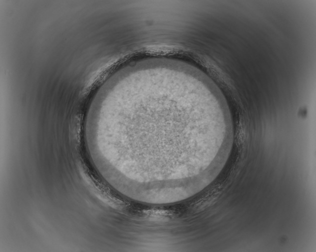 X0000115200448200912091138