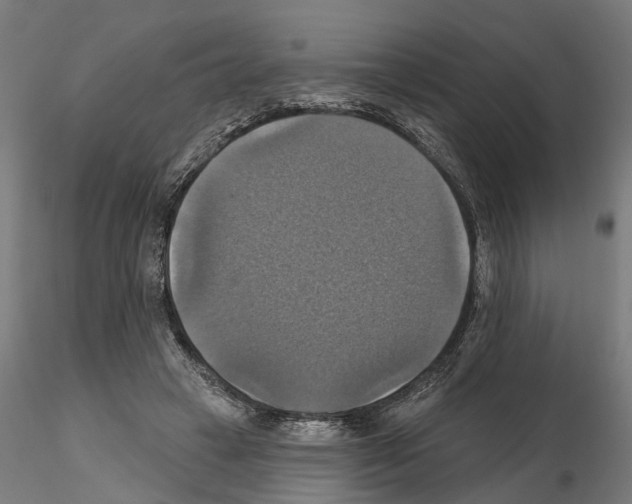 X0000115200449200912091138