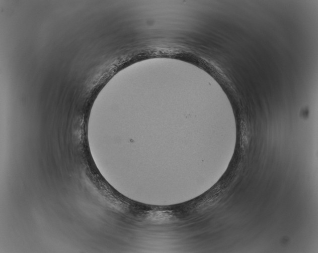 X0000115200451200912091138