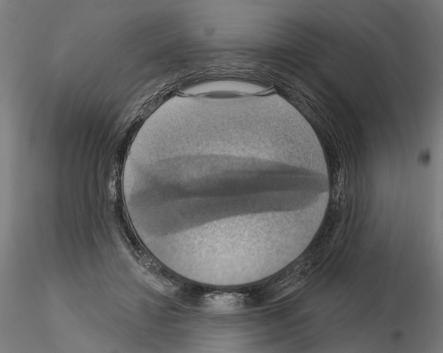 X0000115200452200912091138