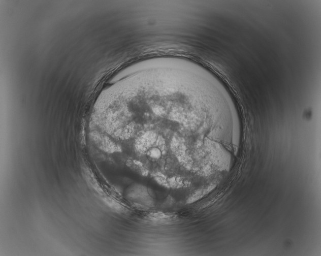 X0000115200453200912091138