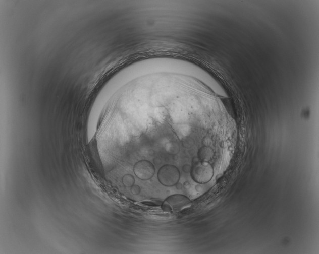 X0000115200454200912091138