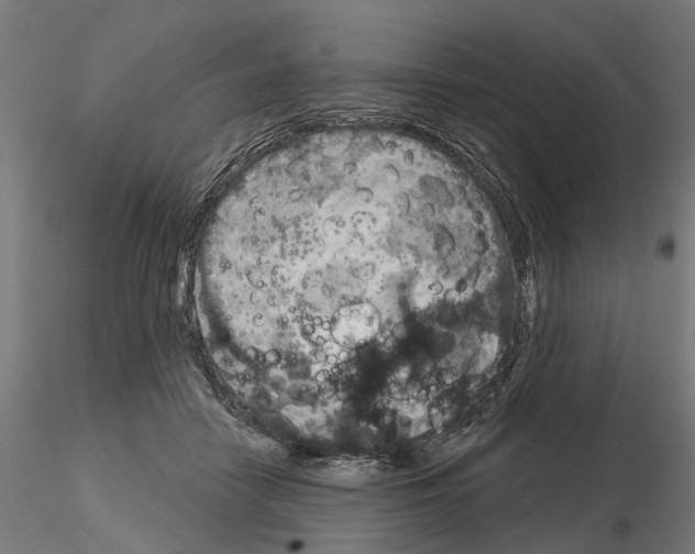 X0000115200458200912091138