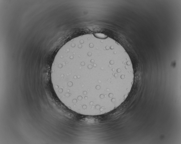 X0000115200464200912091138