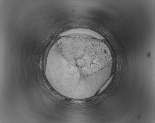 X0000115200465200912091138