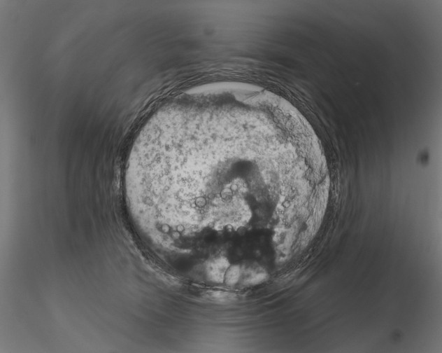 X0000115200466200912091138