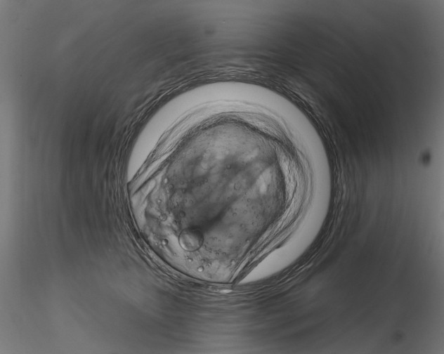 X0000115200467200912091138