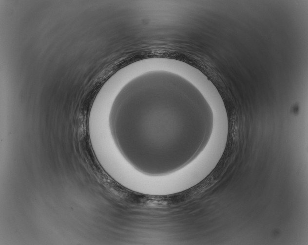 X0000115200471200912091139