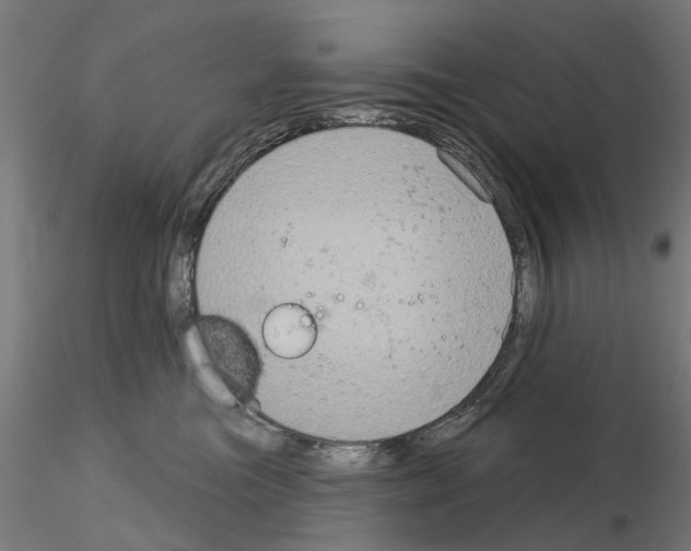 X0000115200473200912091139