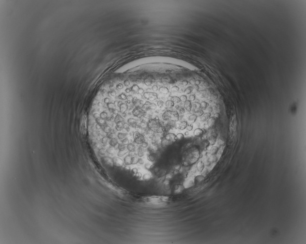 X0000115200474200912091139