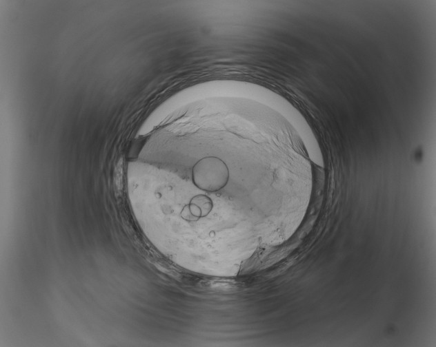 X0000115200475200912091139