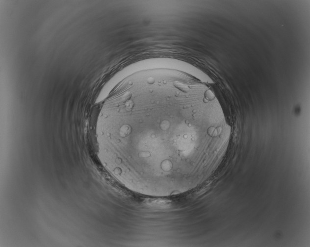 X0000115200476200912091139