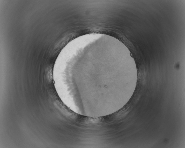 X0000115200479200912091139