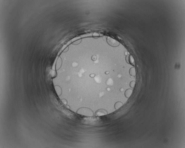 X0000115200480200912091139