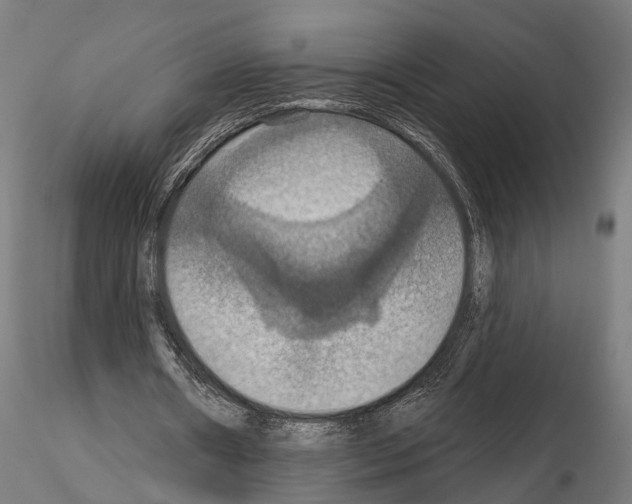 X0000115200482200912091138