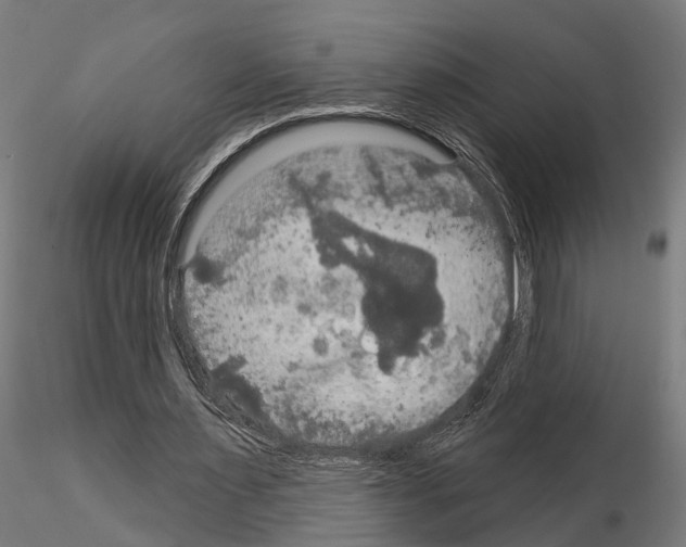 X0000115200483200912091138