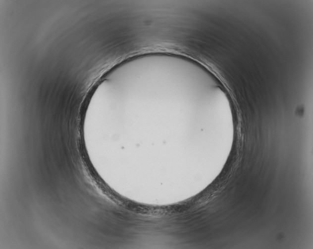 X0000115200485200912091138