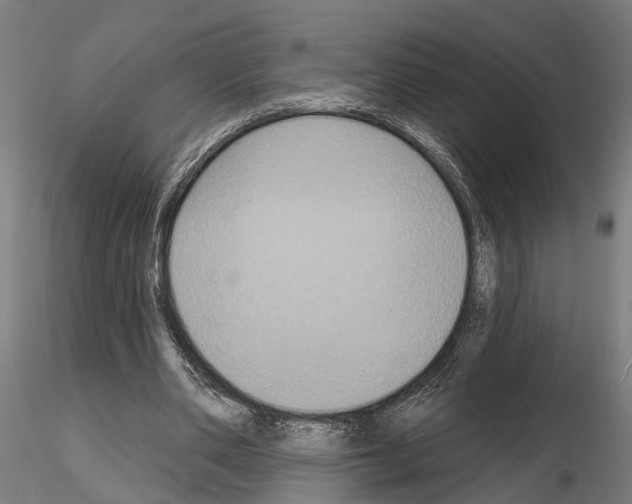 X0000115200486200912091138