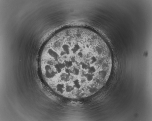 X0000115200487200912091138