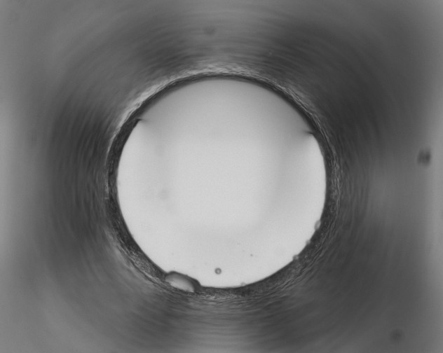 X0000115200488200912091138