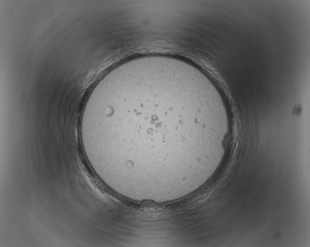 X0000115200489200912091138