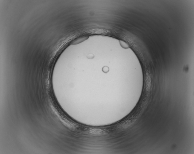 X0000115200490200912091138