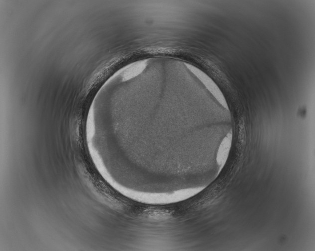 X0000115200491200912091138