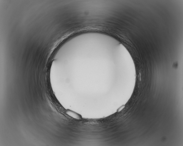 X0000115200492200912091138