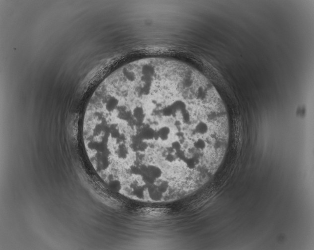 X0000115200495200912091138