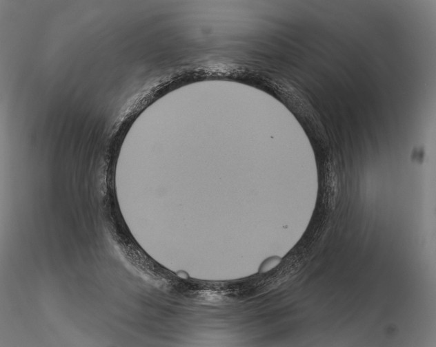 X0000115200496200912091138