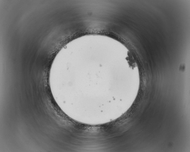 X0000115200497200912091138