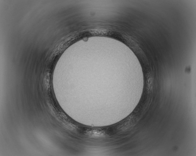 X0000115200498200912091138