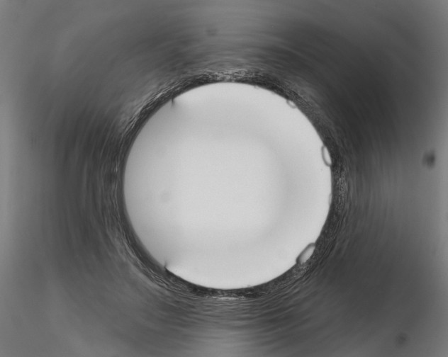 X0000115200499200912091138