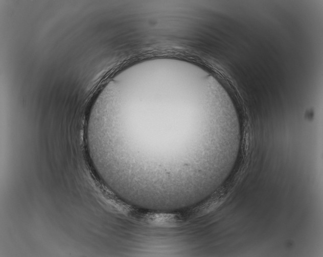 X0000115200501200912091138