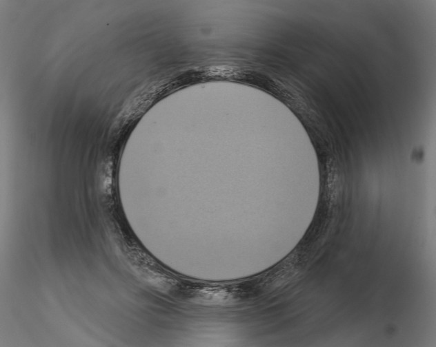 X0000115200502200912091138